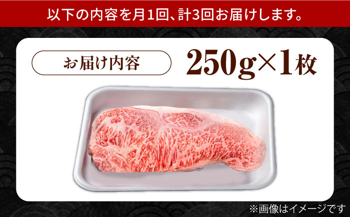 【3回定期便】佐賀県産 黒毛和牛 贅沢 サーロイン ステーキ 250g×1枚【株式会社いろは精肉店】佐賀産和牛 牛肉 [IAG084]