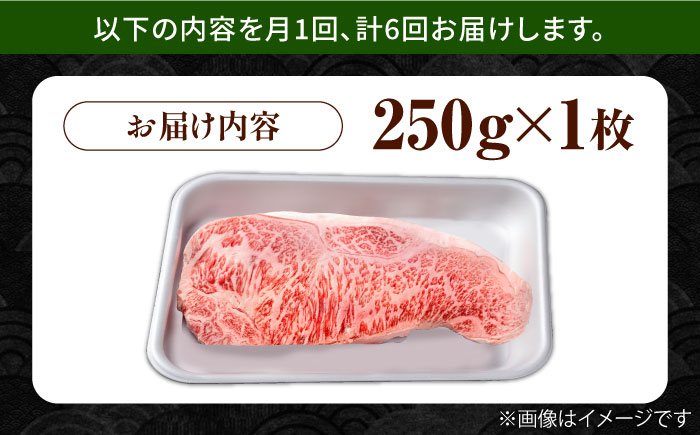【6回定期便】佐賀県産 黒毛和牛 贅沢 サーロイン ステーキ 250g×1枚【株式会社いろは精肉店】佐賀産和牛 牛肉 [IAG085]
