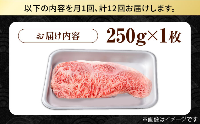 【12回定期便】佐賀県産 黒毛和牛 贅沢 サーロイン ステーキ 250g×1枚【株式会社いろは精肉店】佐賀産和牛 牛肉 [IAG086]