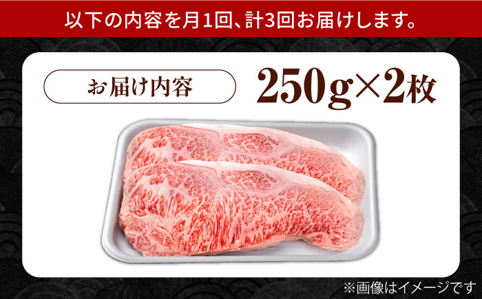 【3回定期便】佐賀県産 黒毛和牛 贅沢 サーロイン ステーキ 250g×2枚（計500g）【株式会社いろは精肉店】佐賀産和牛 牛肉 [IAG087]