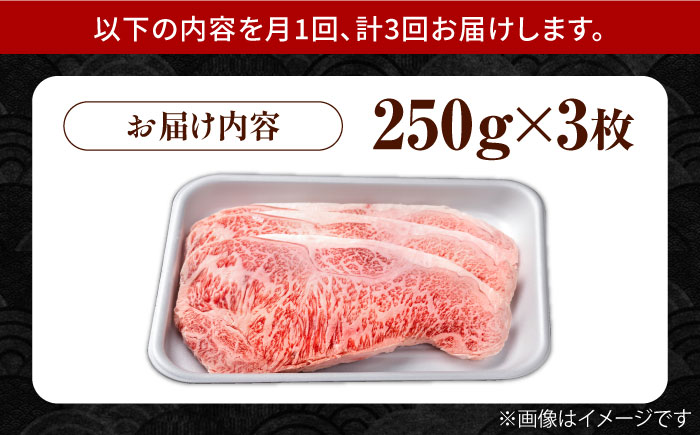 【3回定期便】佐賀県産 黒毛和牛 贅沢 サーロイン ステーキ 250g×3枚（計750g）【株式会社いろは精肉店】佐賀産和牛 牛肉 [IAG090]