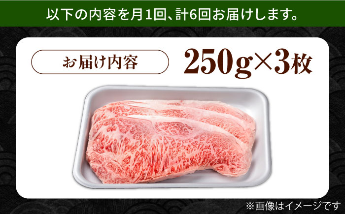 【6回定期便】佐賀県産 黒毛和牛 贅沢 サーロイン ステーキ 250g×3枚（計750g）【株式会社いろは精肉店】佐賀産和牛 牛肉 [IAG091]