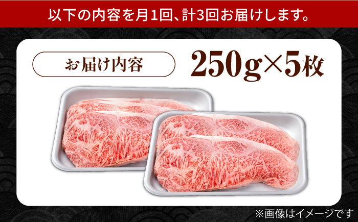 【3回定期便】佐賀県産 黒毛和牛 贅沢 サーロイン ステーキ 250g×5枚（計1250g）【株式会社いろは精肉店】佐賀産和牛 牛肉 [IAG093]
