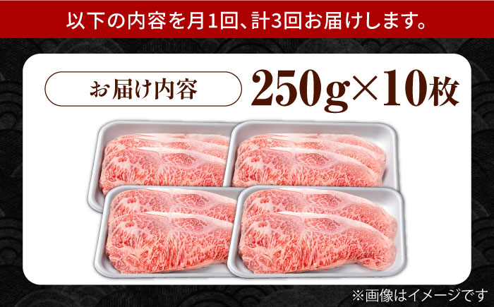 【3回定期便】佐賀県産 黒毛和牛 贅沢 サーロイン ステーキ 250g×10枚（計2.5kg）【株式会社いろは精肉店】佐賀産和牛 牛肉 [IAG096]