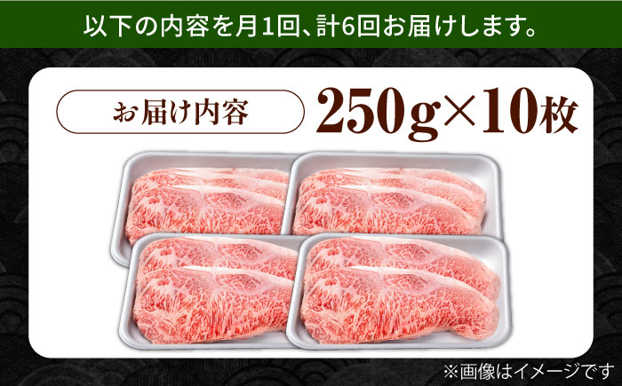 【6回定期便】佐賀県産 黒毛和牛 贅沢 サーロイン ステーキ 250g×10枚（計2.5kg）【株式会社いろは精肉店】佐賀産和牛 牛肉 [IAG097]