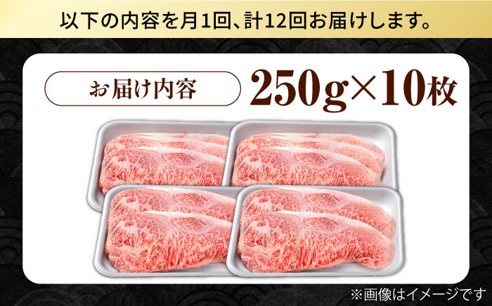 【12回定期便】佐賀県産 黒毛和牛 贅沢 サーロイン ステーキ 250g×10枚（計2.5kg）【株式会社いろは精肉店】佐賀産和牛 牛肉 [IAG098]