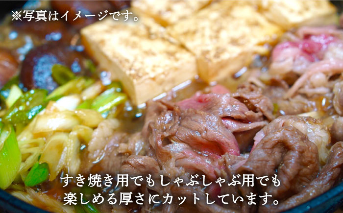 【牧場直送】人気返礼品セット！手ごねハンバーグ 4個＆しろいし牛 すきしゃぶ用スライス（ロース） 600g【有限会社佐賀セントラル牧場】お肉 [IAH118]