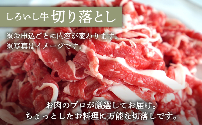 【牧場直送】【3回定期便】人気返礼品詰め合わせ！牛肉100%ふんわりロールステーキ 4個＆白富牛 手ごねハンバーグ 4個＆しろいし牛 切り落とし 1000g 【有限会社佐賀セントラル牧場】 お肉 [IAH185]
