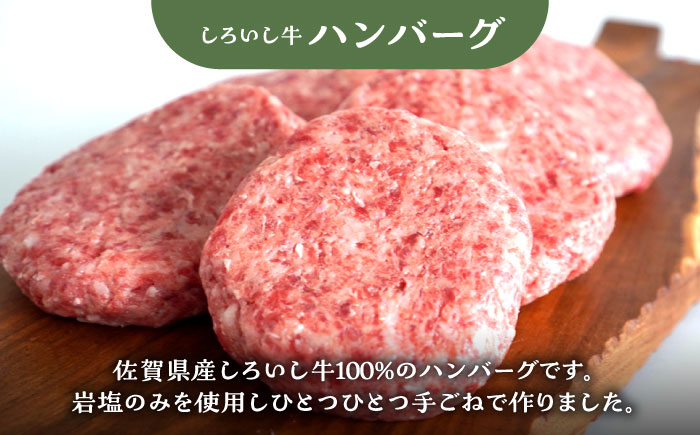 【牧場直送】【3回定期便】しろいし牛 家族向け お楽しみ 定期便（スタンダードコース）【有限会社佐賀セントラル牧場】牛肉 [IAH209]