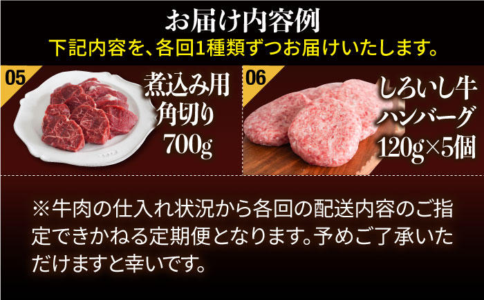 【6回定期便】しろいし牛1頭まるごと 食卓定期便 大容量 マリネ 焼肉 ハンバーグ【有限会社佐賀セントラル牧場】牛肉 [IAH222]
