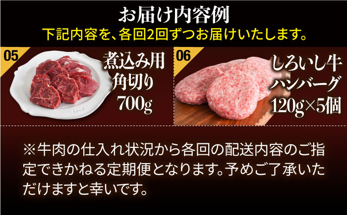 【12回定期便】しろいし牛1頭まるごと 食卓定期便 大容量 マリネ 焼肉 ハンバーグ【有限会社佐賀セントラル牧場】牛肉 [IAH223]