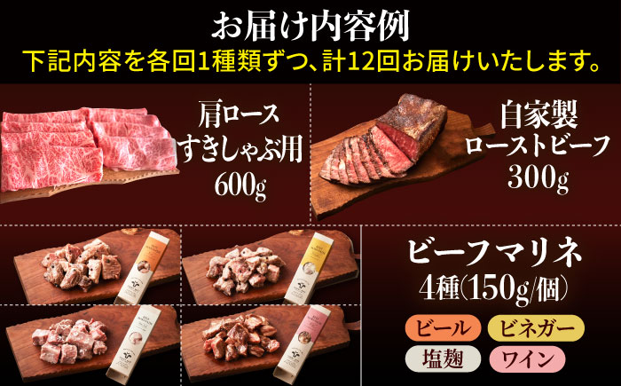 【牧場直送】【12回定期便】佐賀県産 しろいし牛 1頭まるごと 定期便【有限会社佐賀セントラル牧場】 [IAH225]