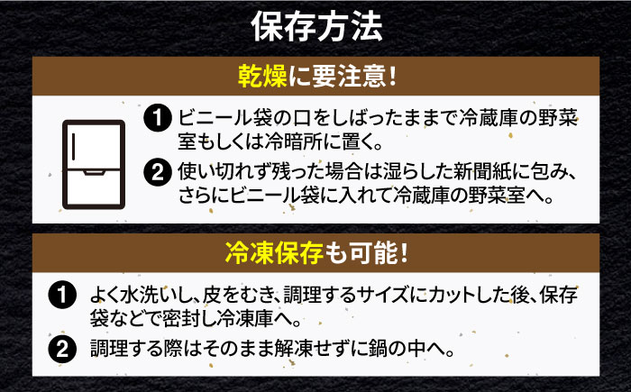 【2026年1月以降発送】白石町産 泥付きれんこん （4kg） 【佐賀県農業協同組合】レンコン 蓮根 野菜 根菜 佐賀県産 九州 佐賀県 白石町 [IAK015]