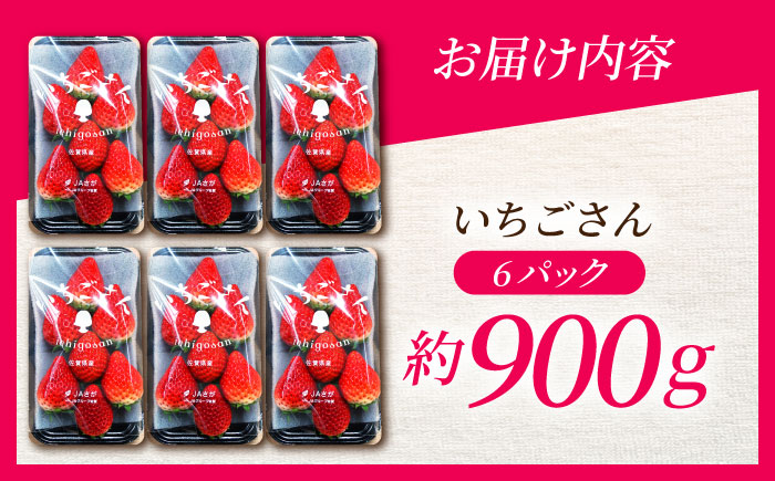 【R8年1月以降発送】 白石町産 いちごさん （150g×6パック） 【佐賀県農業協同組合】 イチゴ [IAK016]