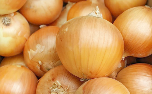 【身体にやさしい！】玉ねぎ たっぷり スープ セット（5袋分）【玉葱農家 陣内ちひろ】玉葱 たまねぎ 玉ねぎスープ [IAO006]