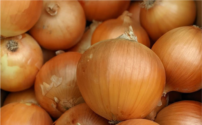 【先行予約】【全3回】農家直送！玉ねぎとスイートコーンの定期便【玉葱農家 陣内ちひろ】玉葱 玉ねぎ たまねぎ 新玉ねぎ 新玉葱 晩生 とうもろこし コーン [IAO015]