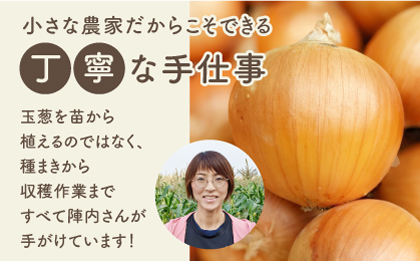 【素材の旨味たっぷり】玉葱農家の 玉葱黒カレー（5袋）【玉葱農家 陣内ちひろ】玉葱 玉ねぎ タマネギ カレー 黒カレー [IAO021]