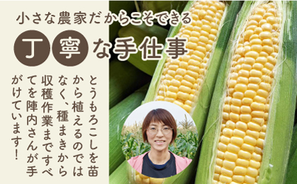 【素材の旨味たっぷり】玉葱農家の コーンスープ（5袋）【玉葱農家 陣内ちひろ】玉葱 玉ねぎ たまねぎ とうもろこし コーン スープ [IAO022]