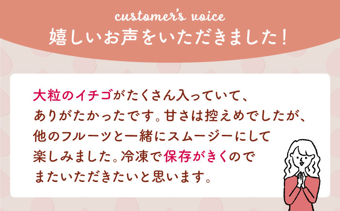 【先行予約】冷凍いちご おまかせ 詰め合わせ 1.5kg【岸川農園】イチゴ [IAP001]