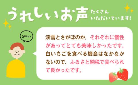 【先行予約】【農家直送】淡雪＆さがほのか赤白いちごセット各220g 【岸川農園】イチゴ [IAP007]