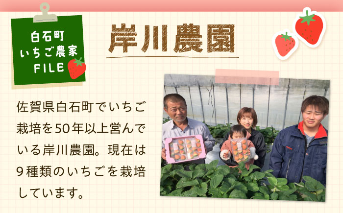 【先行予約】いちご 3品種 食べ比べセット 【岸川農園】 イチゴ [IAP029]