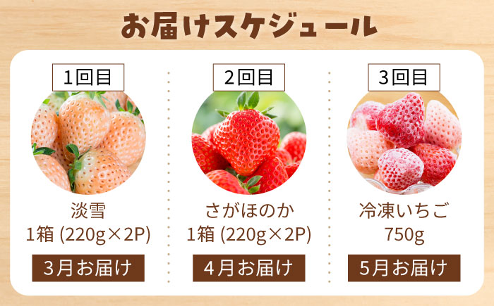 【先行予約】【全3回定期便】赤白 いちご 食べ比べ 【岸川農園】イチゴ [IAP030]