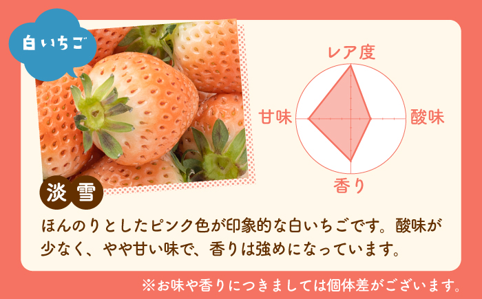 【先行予約】【農家直送】【化粧箱入り】淡雪＆さがほのか 赤白いちごセット計200g【岸川農園】イチゴ [IAP031]