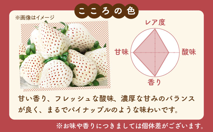 【R8年2月以降発送】淡雪・こころの色 白いちごプレミアム 計440g（220g×2パック） 【岸川農園】 [IAP045]