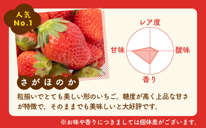 【R8年1月以降発送】白石産いちご「さがほのか」 220g×2パック 【岸川農園】 [IAP048]