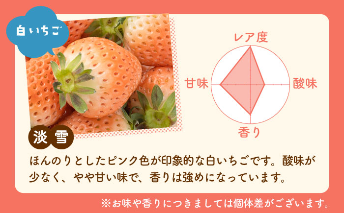 【R8年1月以降発送】紅白いちごセット（淡雪・さがほのか ） 計1.7kg以上（各220g×4パック） 【岸川農園】 [IAP049]