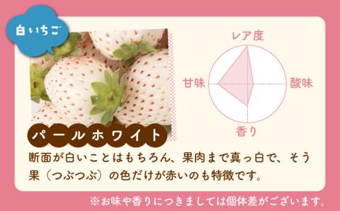 【R8年3月以降発送】【全3回定期便】希少白いちごパールホワイト、さがほのかと冷凍いちご【ハヤシダファーム】イチゴ [IAQ010]