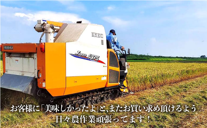 【令和7年8月以降発送】【全4回】新米4種 食べ比べ 特別栽培米 定期便 各回5kg 山口さんちの贈り物【y'scompany】米 お米 佐賀県産 [IAS012]