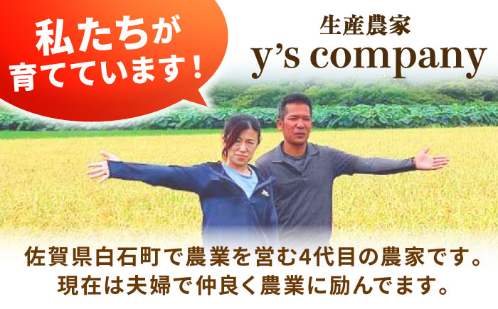【令和7年10月以降順次発送】【令和7年度産】 特別栽培米 夢しずく（玄米） 10kg 【y'scompany】 [IAS024]