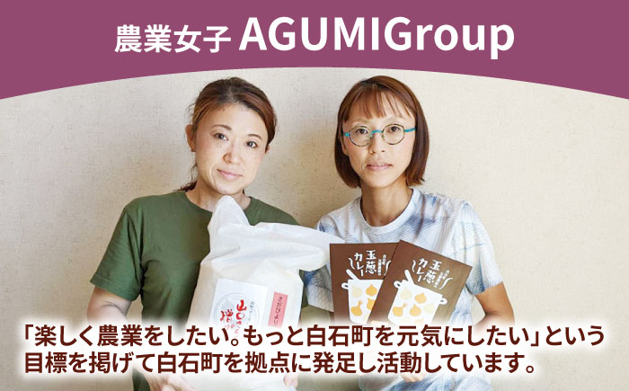 白石町産 特別栽培 さがびより（白米）5kg＆スパイス香る 玉葱黒カレー（レトルト）5袋 詰め合わせ【AGUMIGroup（農業女子グループ）】 [IAT003]