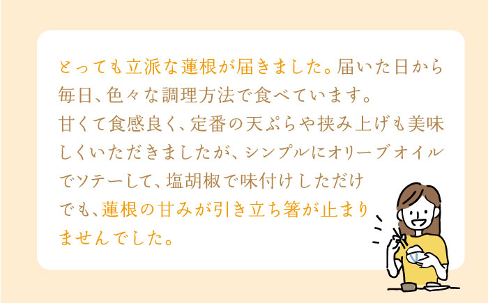 【先行予約】【全3回定期便】 れんこん（泥付き） 2kg×3回（計6kg） 【田島屋れんこん】蓮根 [IAV005]