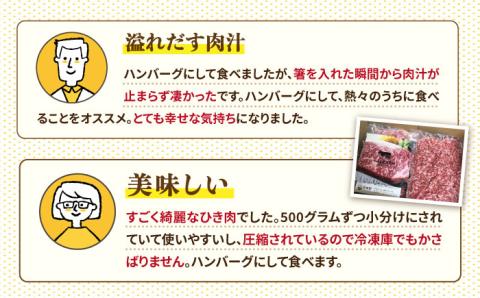 【小分けがうれしい！】牧場直営店の黒毛和牛100%ミンチ 1000g（500g×2パック）【川崎畜産】牛肉 [IAX004]