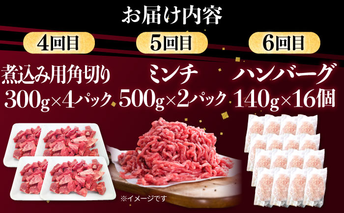 【6回定期便】肉ざんまい定期便 大家族 大容量 たっぷり 【川崎畜産】牛肉 [IAX050]