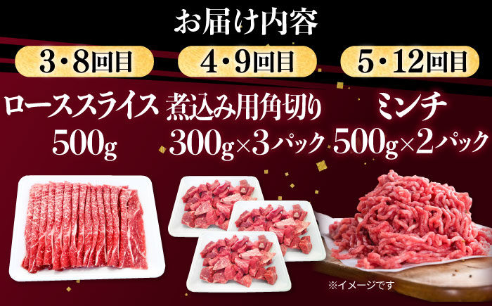【12回定期便】肉ざんまい定期便 一人暮らし 少量【川崎畜産】牛肉 [IAX051]