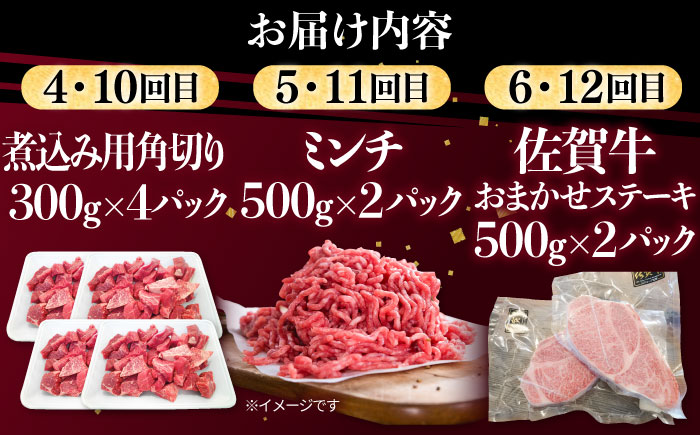 【12回定期便】肉ざんまい定期便 大家族 大容量 たっぷり 【川崎畜産】牛肉 [IAX052]