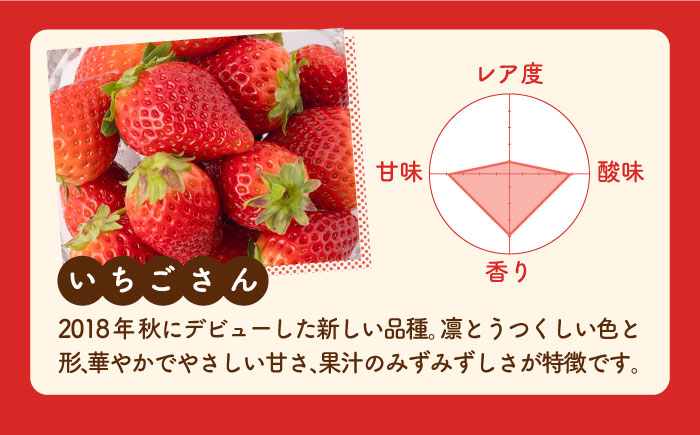 【先行予約】【3回定期便】食べ比べ！いちごさん＆パールホワイト 詰め合わせ 各品種220g（計440g以上）/回【かわさきいちご】イチゴ [IBG013]