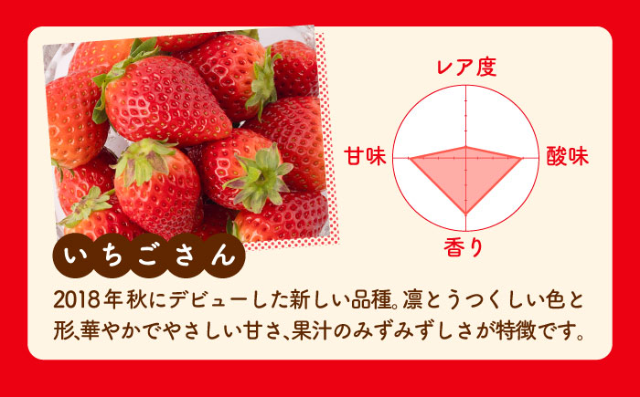 【R7年12月以降発送】【全4回定期便】いちごとお米の贅沢定期便（1） 【かわさきいちご】 [IBG019]