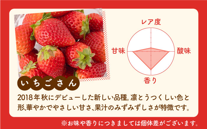 【R8年2月以降発送】【2回定期便】いちごさん 240g×2パック（2・3月配送）【StrawberryFarm-K】イチゴ [IBJ008]