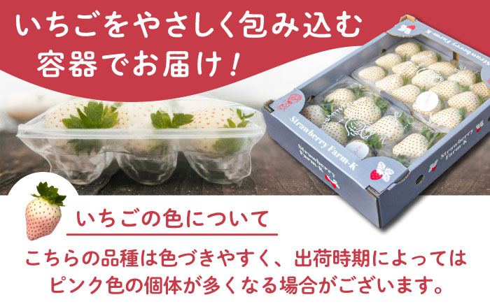 【R8年1月以降発送】【幻の白いちご】 こころの色 220g×2パック 【StrawberryFarm-K】 [IBJ010]