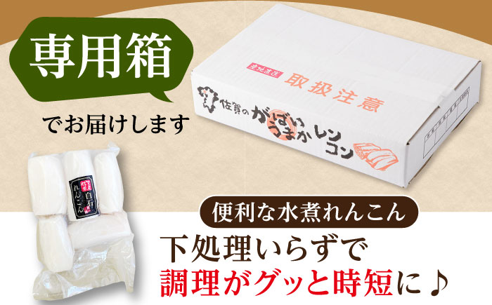 【お手軽調理！】白石町産 水煮れんこん 計1kg（真空パック）【有限会社白石開発】蓮根 れんこん レンコン [IBN005]