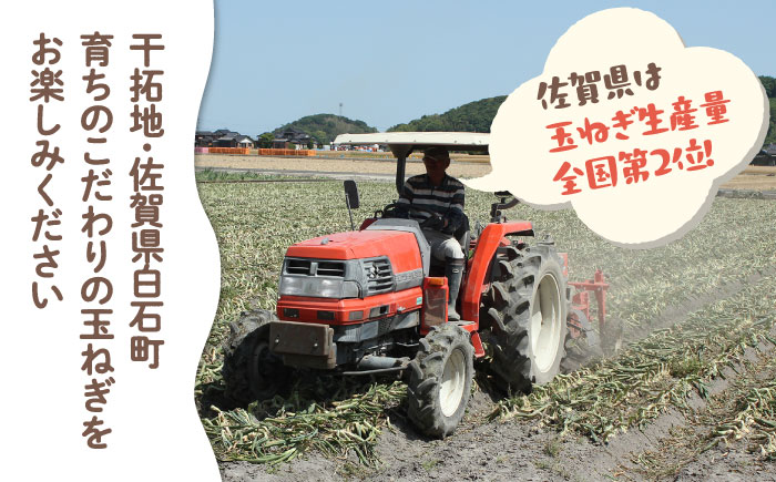 【農家直送！】こだわり 晩生 玉ねぎ 約5kg【一ノ瀬農園】たまねぎ 玉葱 [IBQ010]