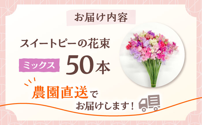 【R7年度12月以降発送】【生産農家直送！】スイートピー 花束 50本（ミックス）【木下農園】生花 [IBW001]