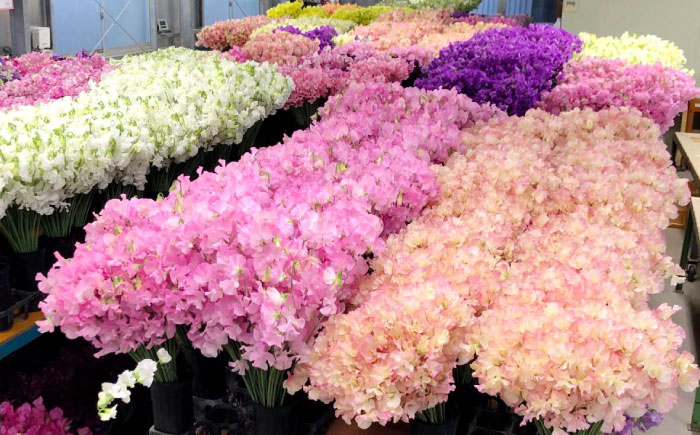 【R8年1月以降発送】 【生産農家直送！】【3回定期便】スイートピー 花束 50本（ホワイト・ピンク・紫）【木下農園】生花 [IBW007]