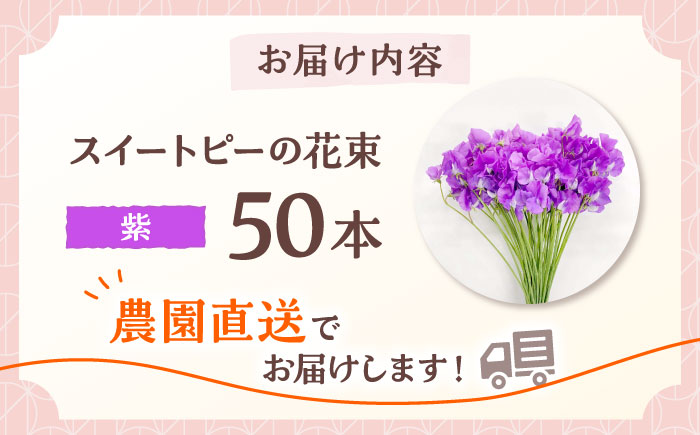 【R7年度12月以降発送】 【生産農家直送！】スイートピー 花束 50本（紫）【木下農園】 [IBW008]