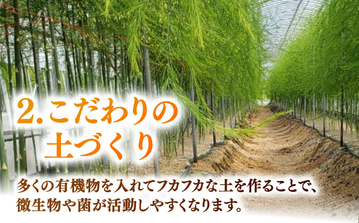 【年内発送】【先行予約】身体にやさしい こだわり 春芽 アスパラガス 約1kg【ひがじま農園】アスパラ [ICW001]