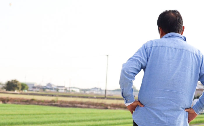 【令和7年産】 さがびより 5kg【ちわたのふぁーむ】お米 [IDE001]